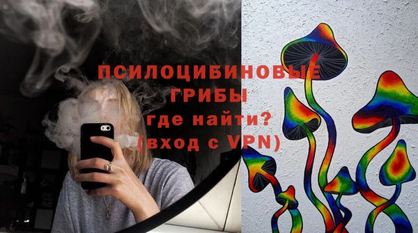 эйфоретик Инта