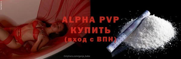 эйфоретик Инта