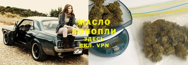 молекула духа Инсар