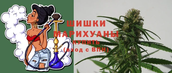 молекула духа Инсар
