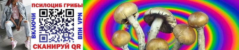 Купить где  Урюпинск  Галлюциногенные грибы Cubensis 
